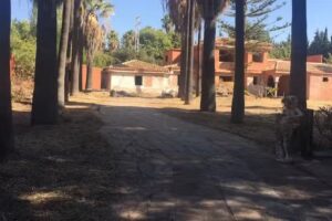 Finca de Arquenavi, SL