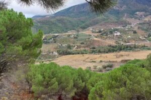 Finca el Buf&oacute;n de la corte