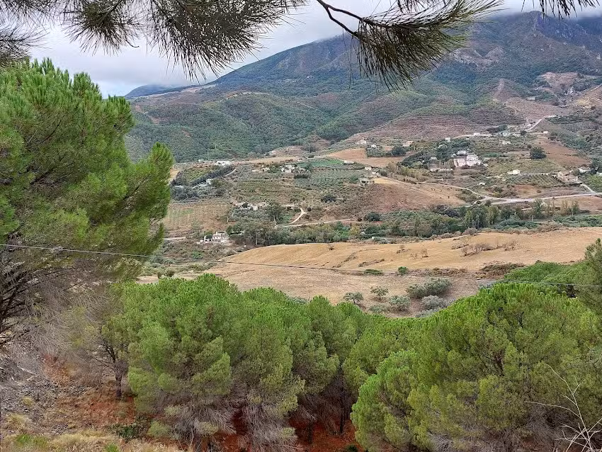 Finca el Buf&oacute;n de la corte