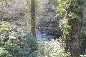 Finca El Molino Blanco