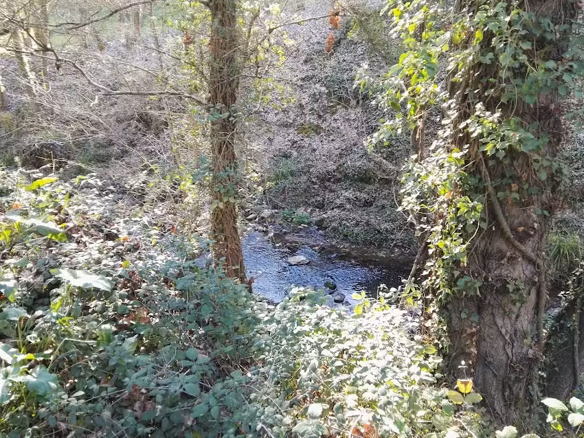 Finca El Molino Blanco