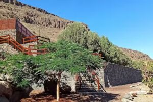 Finca El Olivo de Ayagaures