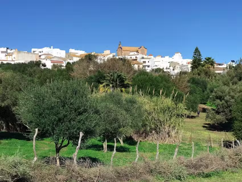 Finca la Comba