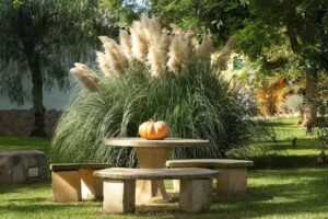 Finca La Hijuela Holiday Homes