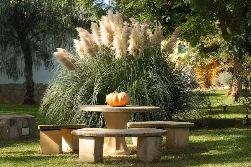 Finca La Hijuela Holiday Homes