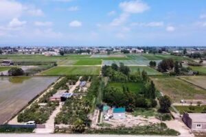 Finca &lsquo;La Oliva&rsquo;