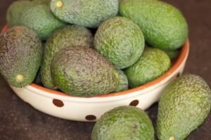 Finca Mar&iacute;a de la Luz