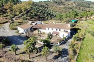 Finca Molino Don Zo&iacute;lo