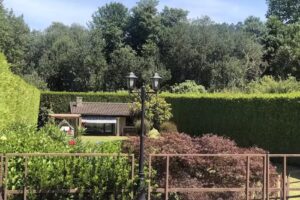 Finca o Loureiro
