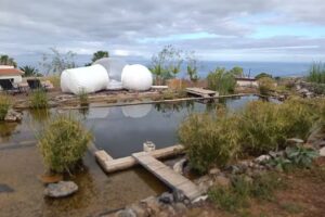 Finca Rural Nueva Vida