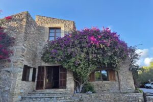 Finca Sa Mesquida de D&rsquo;alt