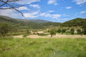 Finca Segur&oacute; Resort & Bodega