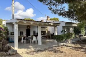 Finca Vilamarxant Olivereta