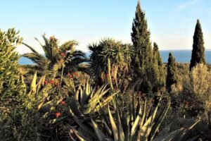 FLUMENS REGENERACI&Oacute;N