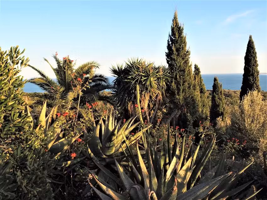 FLUMENS REGENERACI&Oacute;N