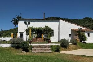 FUENTEZAOS LAS PALMERAS