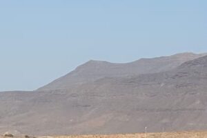 Fuerte Holiday Harbour House