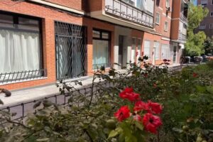 Gala Apartamento tur&iacute;stico Vista Alegre &ndash; (Madrid)