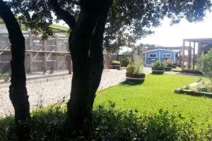 Gatosphera Hotel Felino