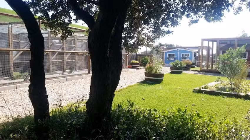 Gatosphera Hotel Felino