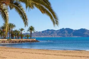 Gesti&oacute;n de apartamentos tur&iacute;sticos de Mazarr&oacute;n