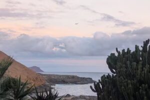 Golden Beachfront Oasis & Pool | 5 ★ Holiday Apartment