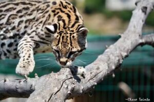 Granja escuela Basabere