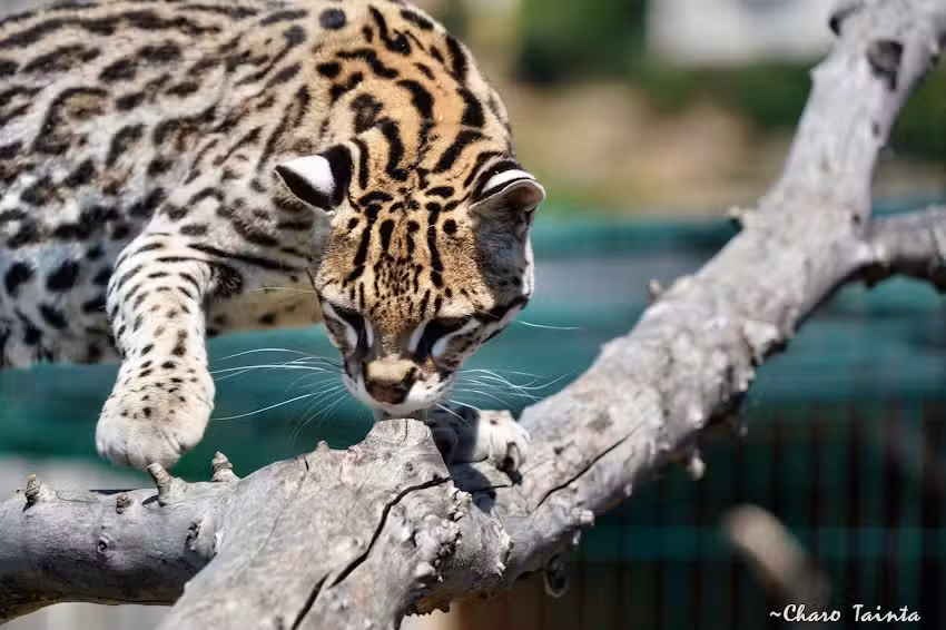 Granja escuela Basabere