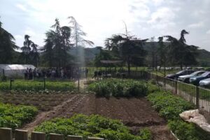 Granja Escuela y Albergue Rural La Esgaravita