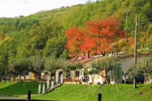 Granja Santa Catalina