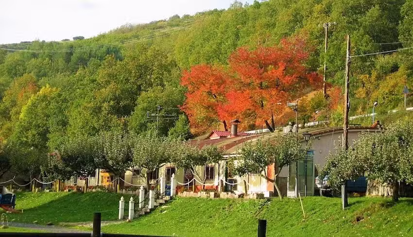 Granja Santa Catalina