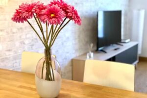 Gros Beach Apartment