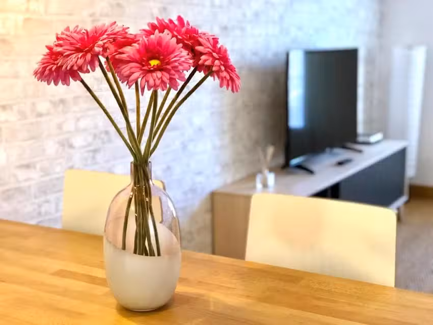 Gros Beach Apartment