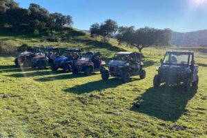 Grupo Xtremabuggy S L