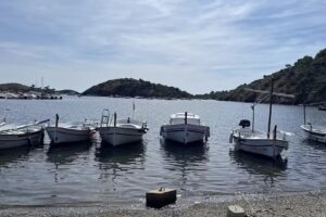 Guesthouse BARCELONA GOTIC