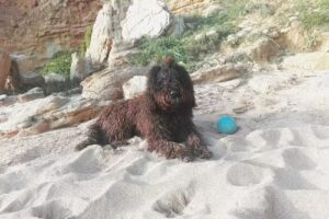 Habitaciones La Pepa