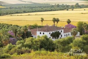 Hacienda Buena Suerte