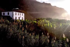 Hacienda Cuatro Ventanas