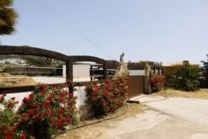 Hacienda rural Ventorrillo El Nene Facinas