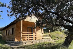 Hamlet&rsquo;s Friends