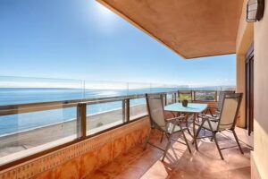 Hanami Avenida de España