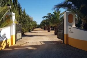 Heredad de Elias Ferrer