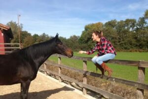 H&iacute;pica Ulzama