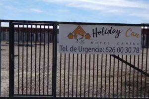 Holiday Can Mocejon hotel canino