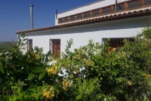 Hospedium DLJ Hostal Ben Nassar