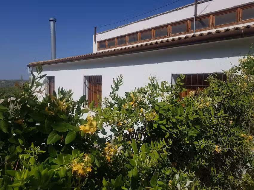 Hospedium DLJ Hostal Ben Nassar