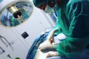 Hospital Veterinario Ferral