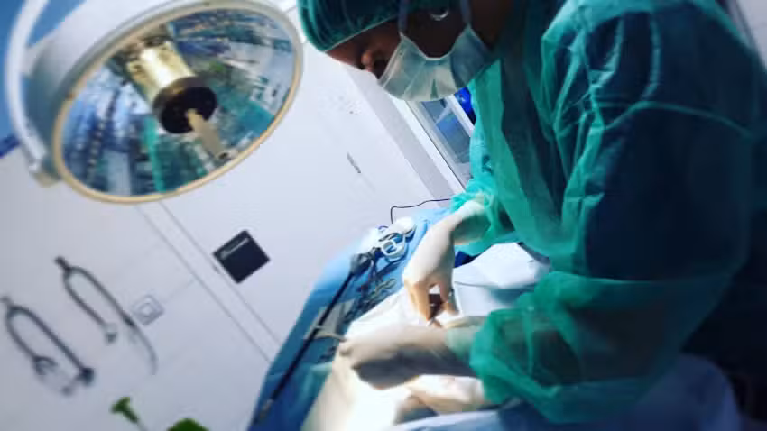 Hospital Veterinario Ferral