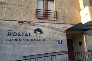 Hostal Camino micol&oacute;gico