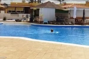 Hostal en Playa Paraiso